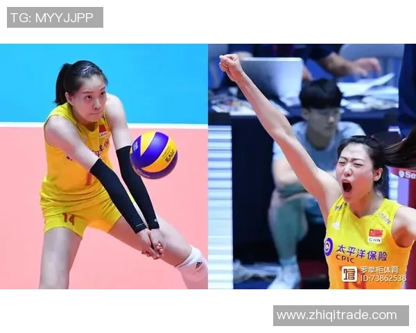 广州排球队实力深度解析与对手对比分析 广州排球队实力深度解析与对手对比分析