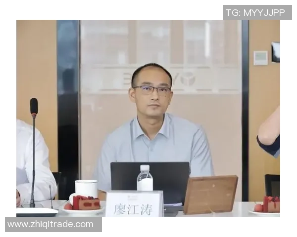 南京羽毛球队运营模式解析与发展趋势探讨