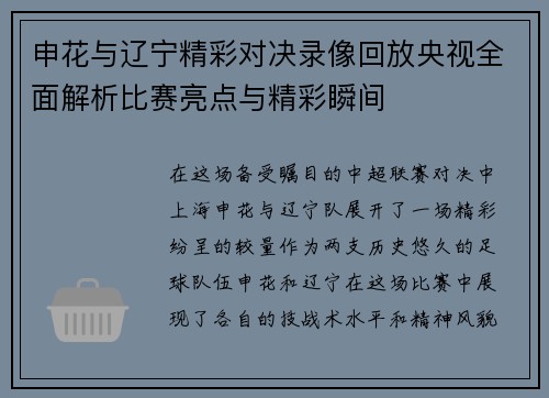 申花与辽宁精彩对决录像回放央视全面解析比赛亮点与精彩瞬间